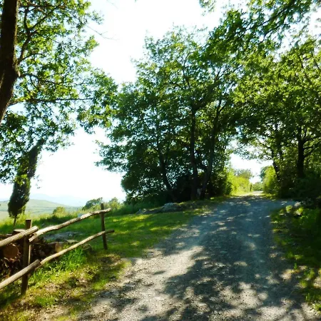 Podere Pietreta Фермерский дом Радикофани